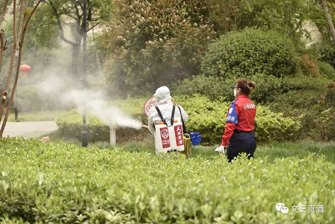 新奥朱雀网