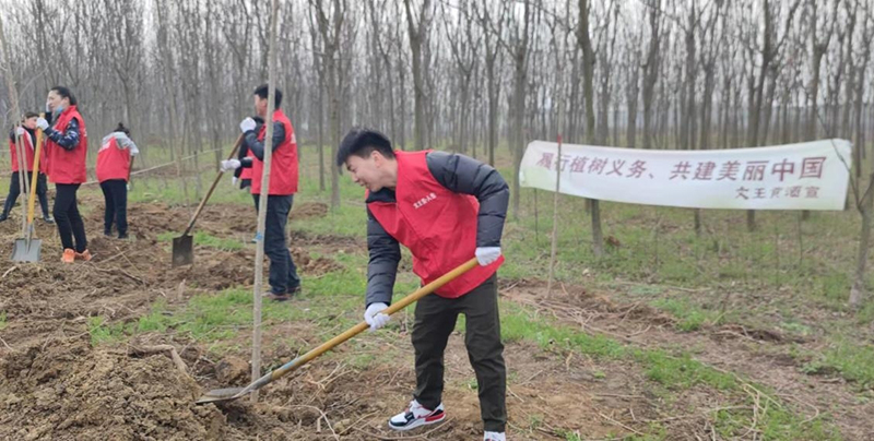新奥朱雀网